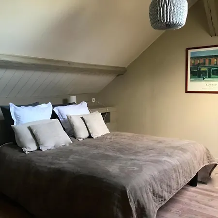 公寓 Le Loft De La Cour Sainte Catherine